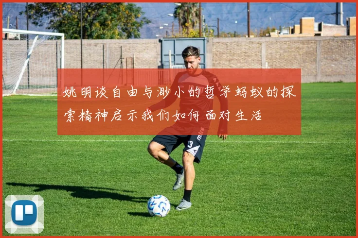 姚明谈自由与渺小的哲学蚂蚁的探索精神启示我们如何面对生活
