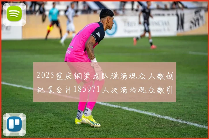 2025重庆铜梁龙队现场观众人数创纪录合计185971人次场均观众数引发热议