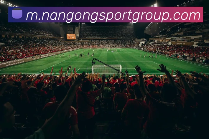 南宫体育平台生态图