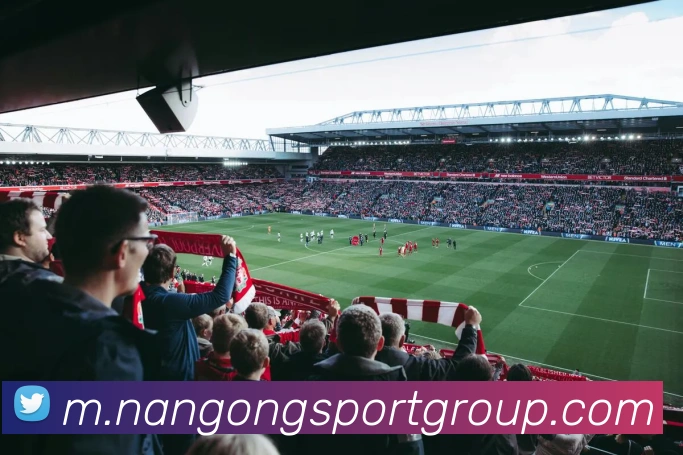未来规划