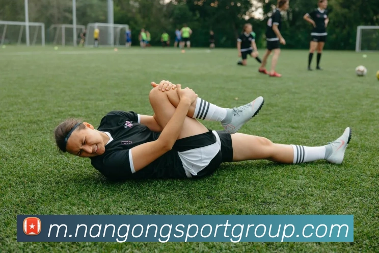 南宫体育全站App